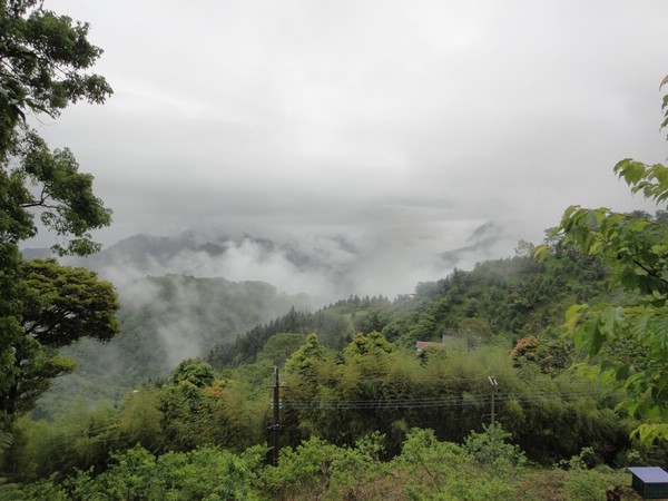 DSC06429-6.JPG