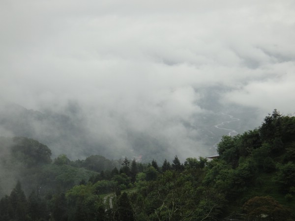 DSC06445-1.JPG