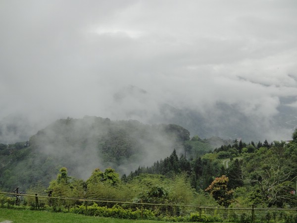 DSC06445-2.JPG