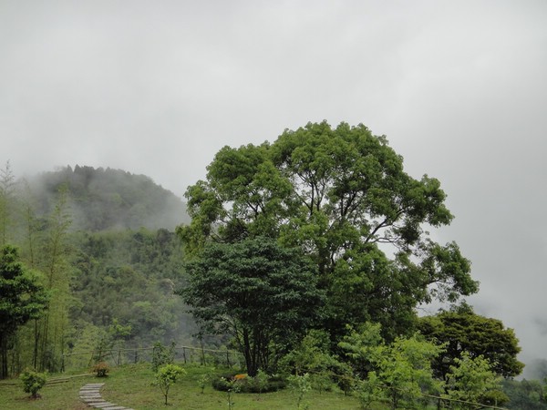 DSC06445-3.JPG