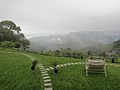 DSC06328-1.JPG