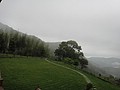 DSC06328-2.JPG