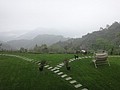 DSC06339.JPG