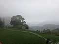 DSC06340.JPG