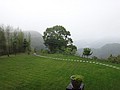 DSC06346.JPG