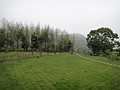 DSC06351-1.JPG