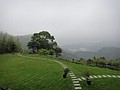 DSC06351-2.JPG