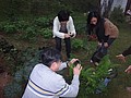 DSC06357-0.JPG