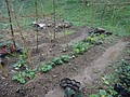 DSC06357-4.JPG