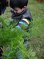 DSC06357-8.JPG