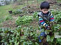 DSC06357-9.JPG