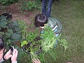 DSC06359.JPG