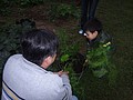 DSC06360.JPG