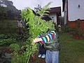 DSC06361.JPG