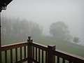 DSC06426-2.JPG