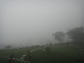 DSC06426-3.JPG