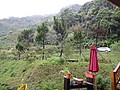 DSC06426-7.JPG