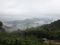 DSC06429-0.JPG