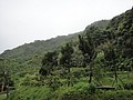 DSC06429-1.JPG