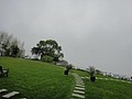 DSC06429-2.JPG