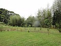DSC06429-7.JPG
