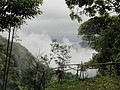 DSC06429-9.JPG