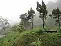 DSC06436-4.JPG