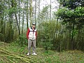DSC06437.JPG