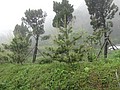 DSC06438.JPG