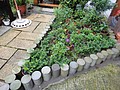 DSC06439-3.JPG