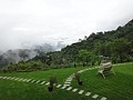 DSC06445-0.JPG