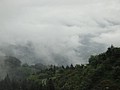 DSC06445-1.JPG