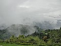 DSC06445-2.JPG