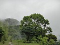DSC06445-3.JPG