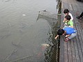 DSC06471.JPG