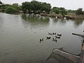 DSC06474.JPG