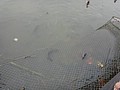 DSC06475.JPG