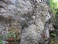 DSC06755.JPG