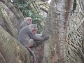 DSC06757.JPG