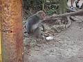 DSC06758.JPG