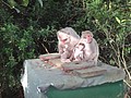 DSC06760.JPG