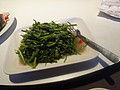 DSC07199.JPG