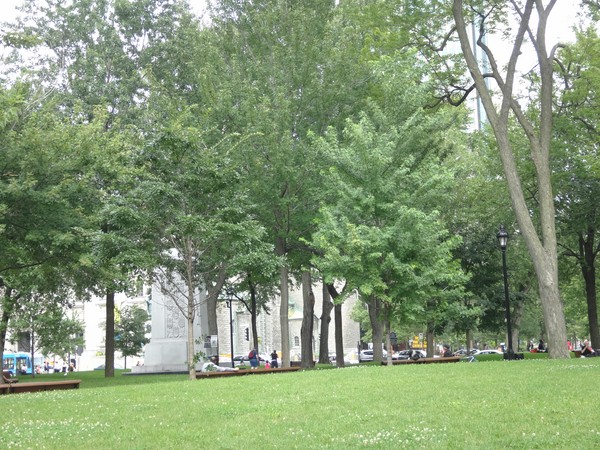 DSC07516.JPG