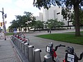 DSC07348.JPG