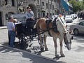 DSC07378.JPG