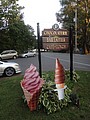 DSC07403.JPG