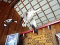 DSC07427.JPG