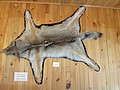 DSC07428.JPG