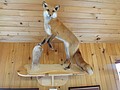 DSC07429.JPG