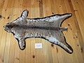 DSC07431.JPG
